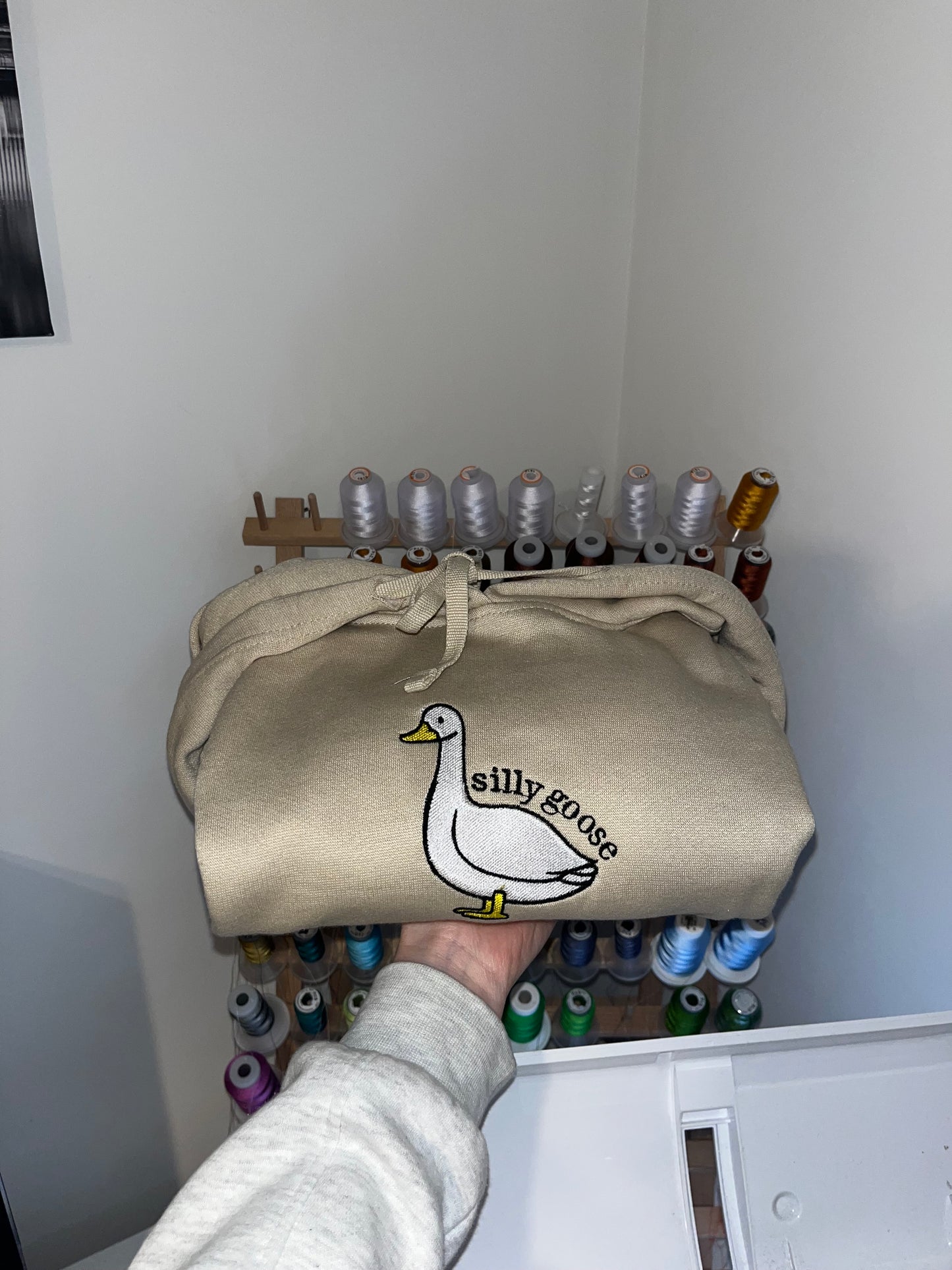 Silly Goose Embroidery Hoodie