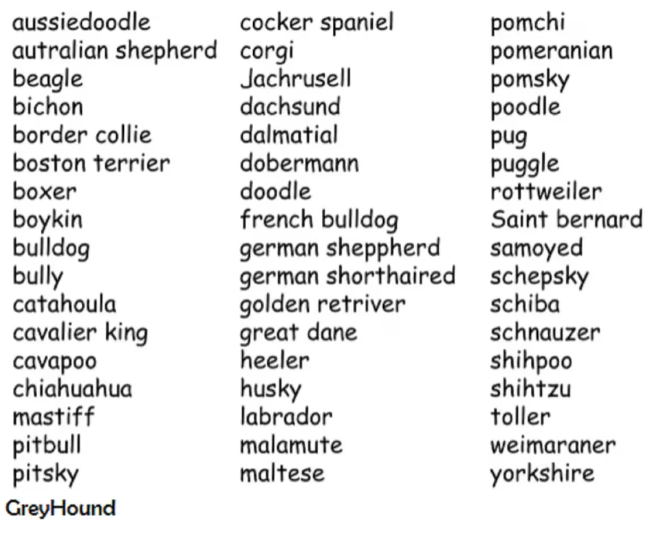 Dog Embroidery (Add Name) T-Shirt