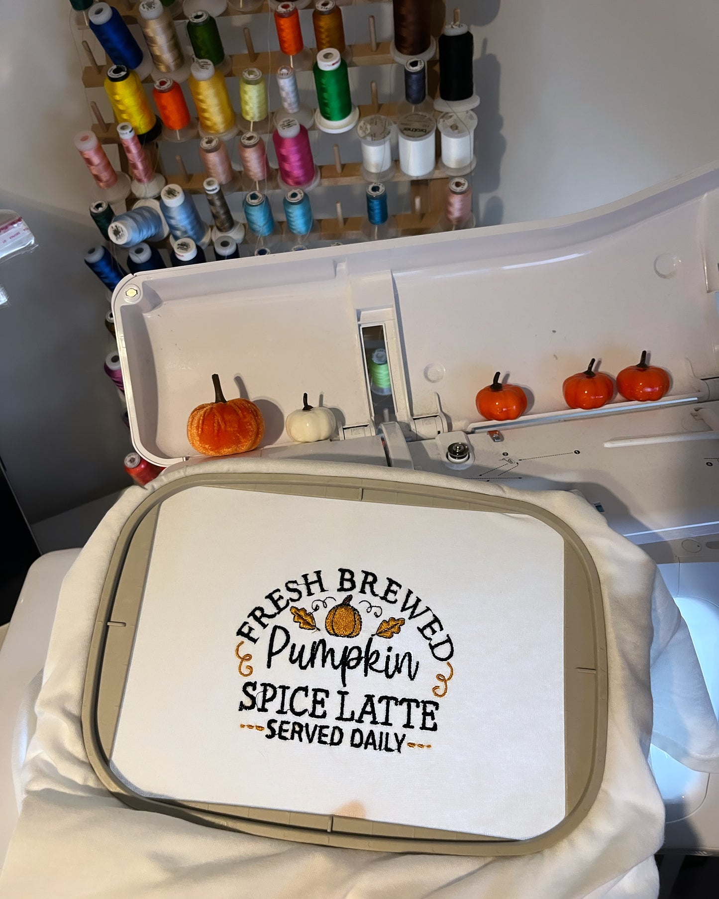 Spice Pumpkin T-Shirt