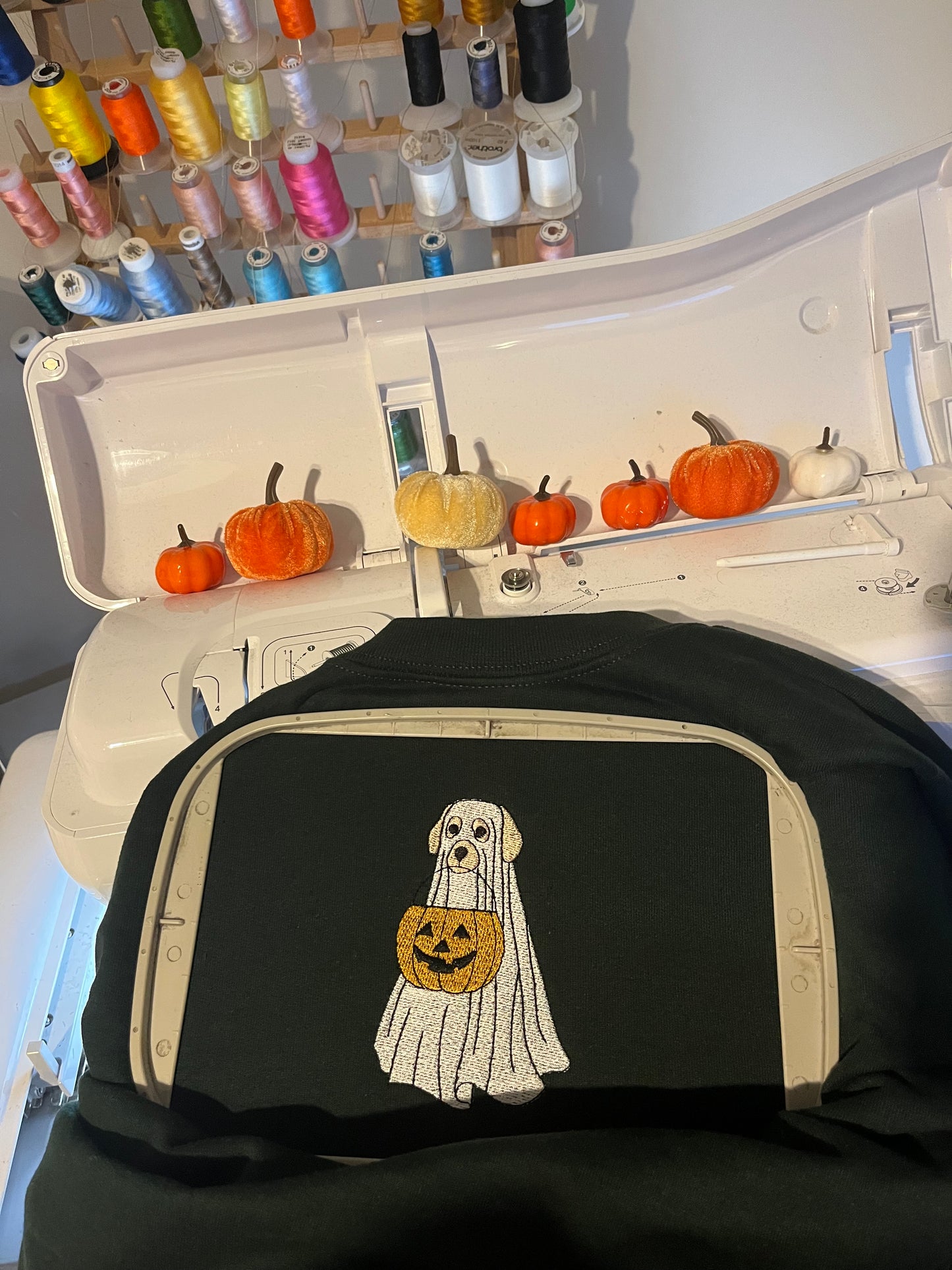 Dog Pumpkin Sweatshirt